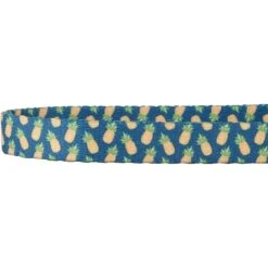 Frisco Pineapple Polyester Breakaway Cat Collar With Bell -Frisco 153158 PT3. AC SS1800 V1568380088