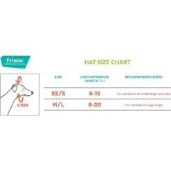 Frisco Happy Birthday Dog & Cat Crown -Frisco 153665 PT1. AC SS1800 V1551134610