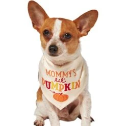 Frisco Mommy's Lil Pumpkin Dog & Cat Bandana 11 Frisco Mommy's Lil Pumpkin Dog & Cat Bandana -Frisco 158936 PT2. AC SS1800 V1689629423