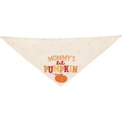Frisco Mommy's Lil Pumpkin Dog & Cat Bandana 12 Frisco Mommy's Lil Pumpkin Dog & Cat Bandana -Frisco 158936 PT3. AC SS1800 V1689628812