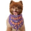 Frisco I Do Tricks For Treats Dog & Cat Bandana 2 Frisco I Do Tricks For Treats Dog & Cat Bandana -Frisco 158938 MAIN. AC SS1800 V1633728989