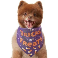 Frisco I Do Tricks For Treats Dog & Cat Bandana 12 Frisco I Do Tricks For Treats Dog & Cat Bandana -Frisco 158938 PT3. AC SS1800 V1633075903