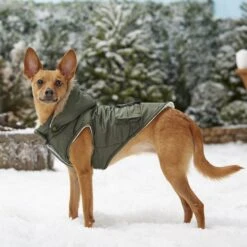 Frisco Mid-Heavyweight Portland Insulated Dog & Cat Parka -Frisco 160295 PT7. AC SS1800 V1567618265