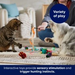 Frisco Plush, Teaser & Ball Variety Pack Cat Toy With Catnip -Frisco 169686 PT5. AC SS1800 V1691783971