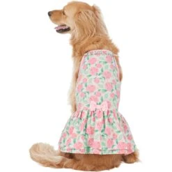 Frisco Pink Floral Dog & Cat Dress -Frisco 191295 PT2. AC SS1800 V1637653354