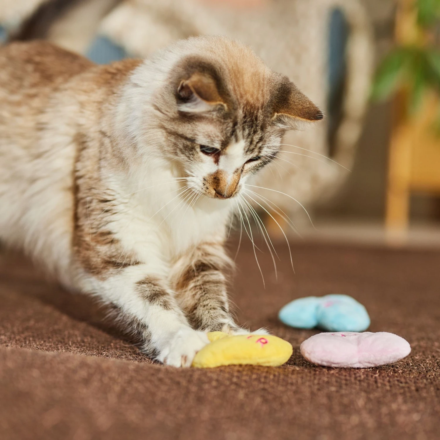 Frisco Candy Hearts Plush Cat Toy With Catnip, 3 Count 5 Frisco Candy Hearts Plush Cat Toy With Catnip, 3 Count - Image 3