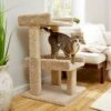 Frisco 32-in Real Carpet Wooden Cat Tree With Toy -Frisco 208920 MAIN. AC SS1800 V1602682003