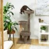 Frisco 50-in Real Carpet Wooden Cat Tree -Frisco 208930 MAIN. AC SS1800 V1602682020