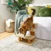 Frisco 20-in 3-Step Real Carpet Wooden Cat Steps 1 Frisco 20-in 3-Step Real Carpet Wooden Cat Steps -Frisco 208966 MAIN. AC SS1800 V1602682013