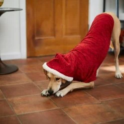 Frisco Textured Knit Dog & Cat Hoodie -Frisco 224233 PT7. AC SS1800 V1601578309