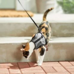 Frisco Wrap Cat Harness -Frisco 230691 PT5. AC SS1800 V1601096758