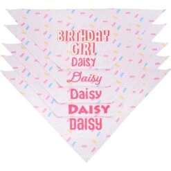 Frisco Birthday Girl Personalized Dog & Cat Bandana -Frisco 238333 PT4. AC SS1800 V1618507367
