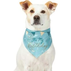 Frisco It's My Birthday Dog & Cat Bandana, Blue