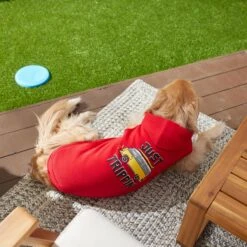 Frisco Just Trippin' Dog & Cat Hoodie -Frisco 249086 PT7. AC SS1800 V1614361932