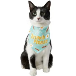Frisco Brunch Please Dog & Cat Bandana 12 Frisco Brunch Please Dog & Cat Bandana -Frisco 249207 PT2. AC SS1800 V1696597732