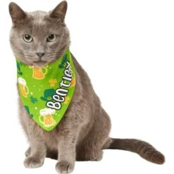 Frisco Green Ale Personalized Dog & Cat Bandana -Frisco 254207 PT7. AC SS1800 V1618510956