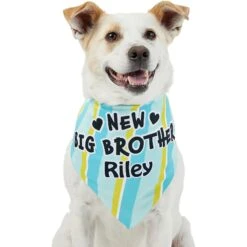 Frisco Big Brother Personalized Dog & Cat Bandana -Frisco 254231 PT6. AC SS1800 V1633071398