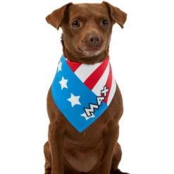 Frisco Americana Personalized Dog & Cat Bandana -Frisco 254239 PT6. AC SS1800 V1619558231
