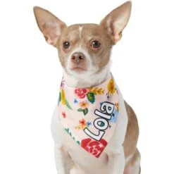 Frisco Floral Personalized Dog & Cat Bandana 17 Frisco Floral Personalized Dog & Cat Bandana -Frisco 254255 PT6. AC SS1800 V1618507356