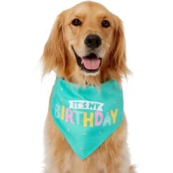 Frisco Happy Birthday Dog & Cat Crown & Frisco Dog & Cat Birthday Bandana -Frisco 255523 PT3. AC SS1800 V1603716114