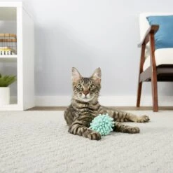 Frisco Moppy Ball Cat Toy With Catnip & Frisco Moppy Ball Cat Toy With Catnip -Frisco 255585 PT2. AC SS1800 V1602691604