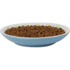 Frisco Kaleidoscope Pattern Non-skid Ceramic Cat Dish -Frisco 256092 PT3. AC SS1800 V1617042717