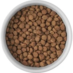 Frisco Cat Print Non-skid Elevated Ceramic Cat Bowl, Short -Frisco 256096 PT4. AC SS1800 V1616522576