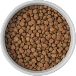 Frisco Cat Print Non-Skid Elevated Ceramic Cat Bowl, Tall -Frisco 256099 PT4. AC SS1800 V1616522538