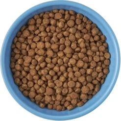Frisco Cat Face Non-skid Ceramic Cat Bowl, Blue -Frisco 256103 PT5. AC SS1800 V1615312900