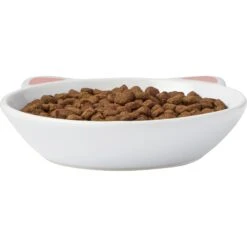 Frisco Cat Face Non-skid Ceramic Cat Dish 10 Frisco Cat Face Non-skid Ceramic Cat Dish -Frisco 256105 PT3. AC SS1800 V1615321286