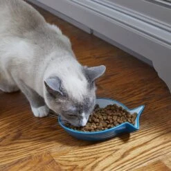 Frisco Fish Shaped Non-skid Ceramic Cat Dish -Frisco 256109 PT3. AC SS1800 V1617196297