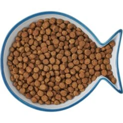 Frisco Fish Shaped Non-skid Ceramic Cat Dish -Frisco 256109 PT6. AC SS1800 V1617196895