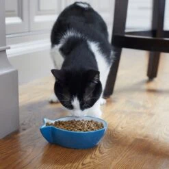 Frisco Fish Shaped Non-skid Ceramic Cat Bowl -Frisco 256111 PT6. AC SS1800 V1617037703