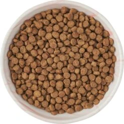 Frisco Marble Design Non-skid Ceramic Cat Bowl -Frisco 256125 PT5. AC SS1800 V1615311382