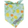 Frisco Citrus Personalized Dog & Cat Bandana -Frisco 258758 MAIN. AC SS1800 V1619558872