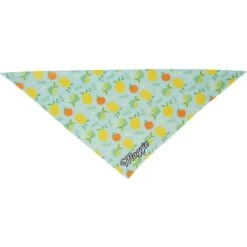 Frisco Citrus Personalized Dog & Cat Bandana -Frisco 258758 PT3. AC SS1800 V1619559797