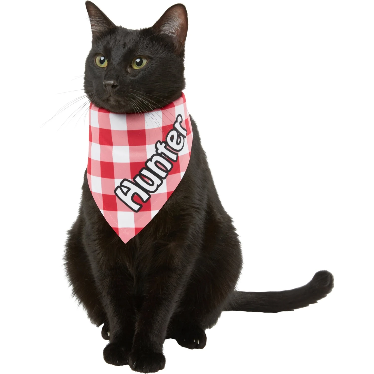 Frisco Gingham Personalized Dog & Cat Bandana 10 Frisco Gingham Personalized Dog & Cat Bandana - Image 8
