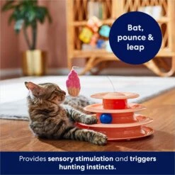 Frisco Birthday Cat Tracks Cat Toy 12 Frisco Birthday Cat Tracks Cat Toy -Frisco 264460 PT5. AC SS1800 V1691785246