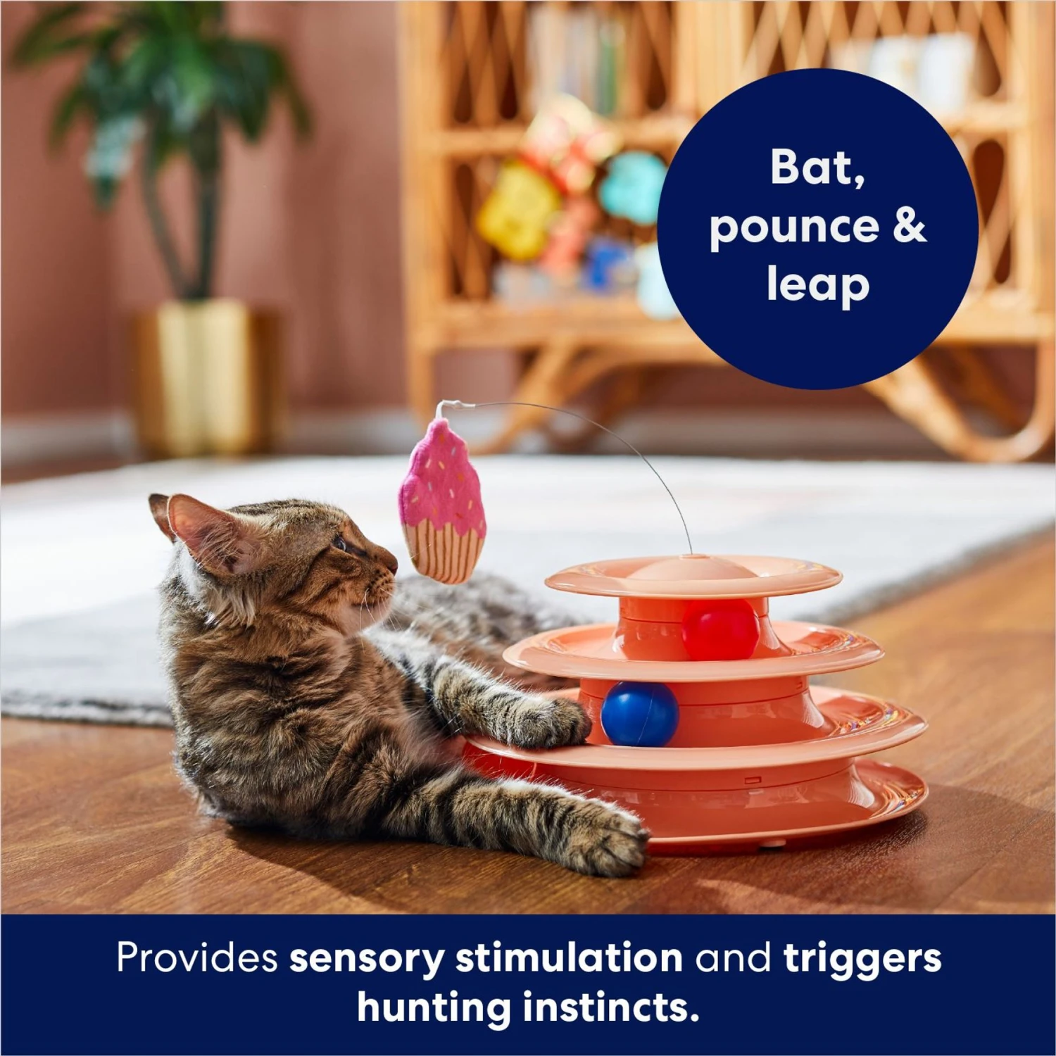 Frisco Birthday Cat Tracks Cat Toy 7 Frisco Birthday Cat Tracks Cat Toy - Image 5