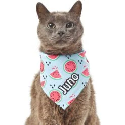 Frisco Watermelons Personalized Dog & Cat Bandana -Frisco 267458 PT7. AC SS1800 V1632432684