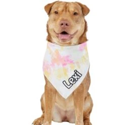 Frisco Tiedye Personalized Dog & Cat Bandana 17 Frisco Tiedye Personalized Dog & Cat Bandana -Frisco 267482 PT6. AC SS1800 V1632428490