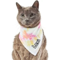 Frisco Tiedye Personalized Dog & Cat Bandana 18 Frisco Tiedye Personalized Dog & Cat Bandana -Frisco 267482 PT7. AC SS1800 V1632420107