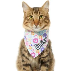 Frisco Bright Floral Personalized Dog & Cat Bandana 17 Frisco Bright Floral Personalized Dog & Cat Bandana -Frisco 267535 PT8. AC SS1800 V1623164312