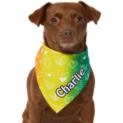 Frisco Rainbow Hearts Personalized Dog & Cat Bandana -Frisco 267539 PT5. AC SS1800 V1632432071