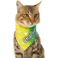 Frisco Rainbow Hearts Personalized Dog & Cat Bandana -Frisco 267539 PT6. AC SS1800 V1632420703