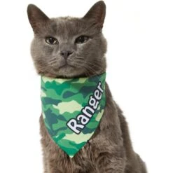 Frisco Green Camo Personalized Dog & Cat Bandana -Frisco 267563 PT8. AC SS1800 V1623182074