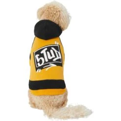 Frisco Stud Dog & Cat Hoodie -Frisco 268002 PT2. AC SS1800 V1637687010