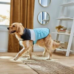 Frisco Mediumweight Colorblock Insulated Dog & Cat Puffer Coat With Pocket, Blue 15 Frisco Mediumweight Colorblock Insulated Dog & Cat Puffer Coat With Pocket, Blue -Frisco 268311 PT8. AC SS1800 V1629766581
