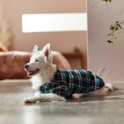 Frisco Multi-Plaid Dog & Cat Flannel Shirt -Frisco 268588 PT7. AC SS1800 V1637674022