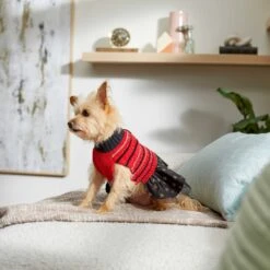 Frisco Chenille Knit Striped Dog & Cat Dress -Frisco 268668 PT5. AC SS1800 V1637675198